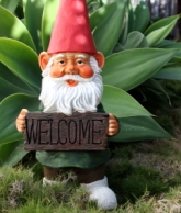 Welcome gnome magical